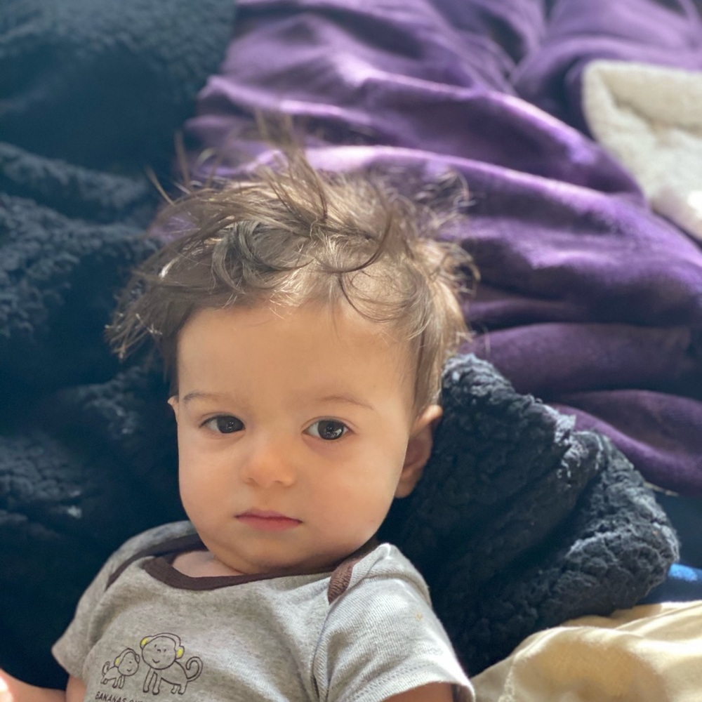 Meet your Posher, Bobbie